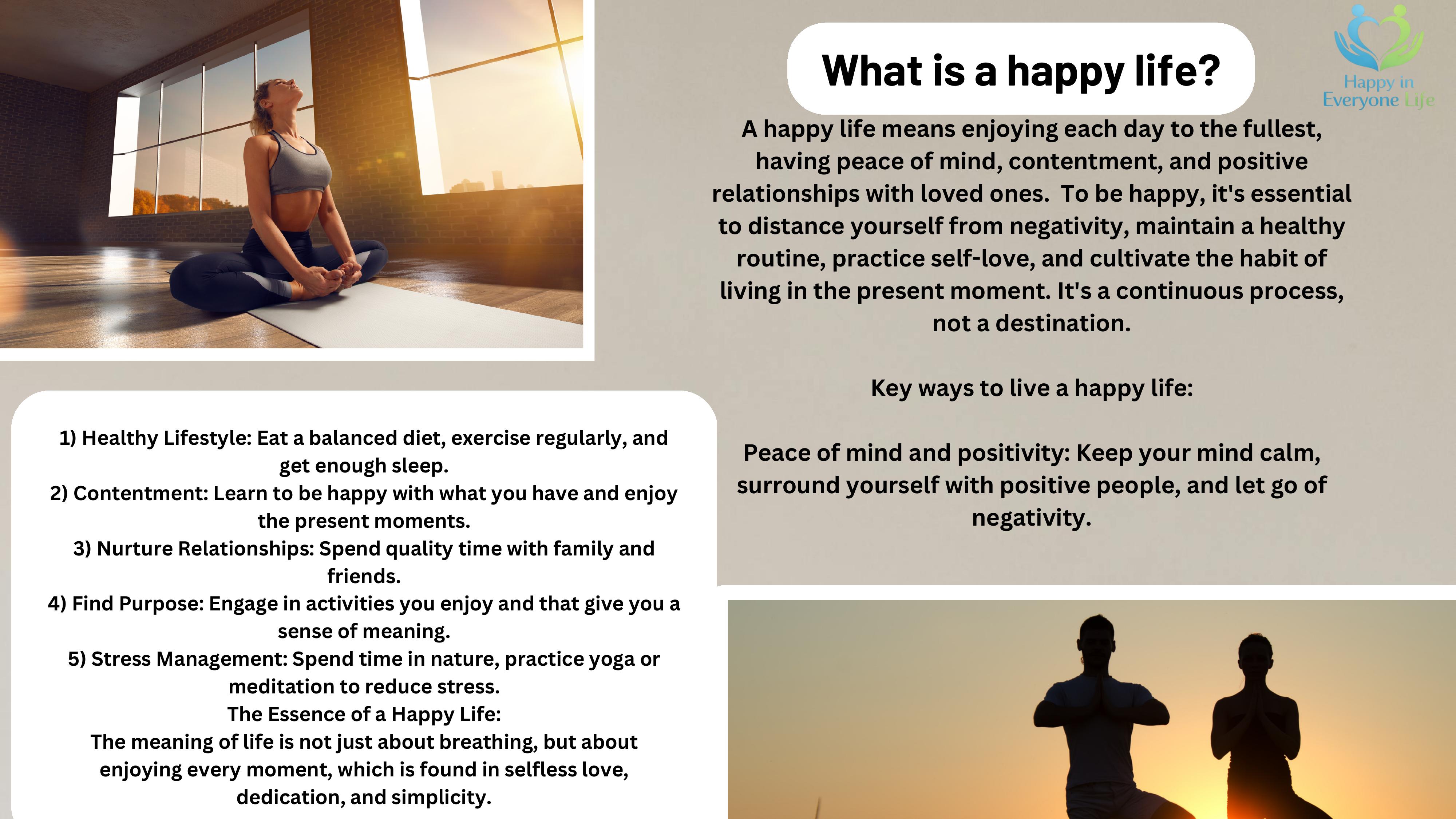 What is a happy life — overview